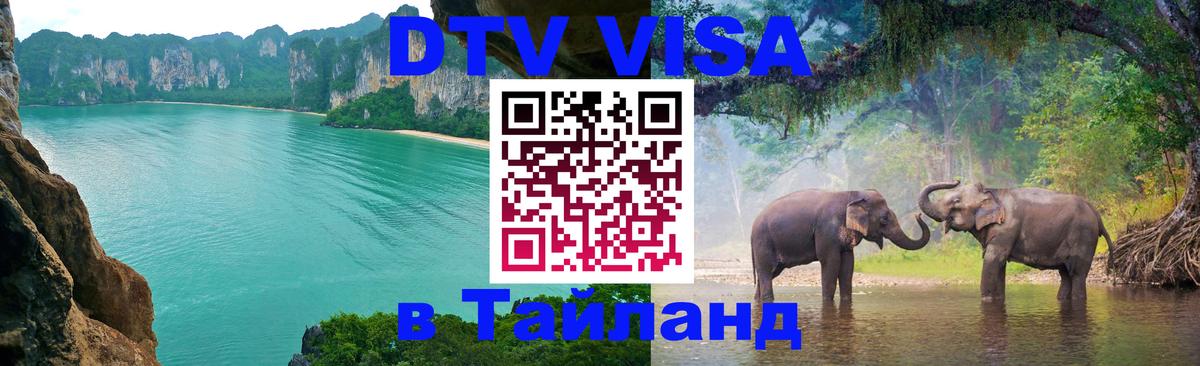 Оформление DTV визы под ключ: стоимость и тарифы, только загранпаспорт - 19.11.2025 
